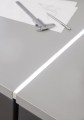 lino-01-pion.jpg