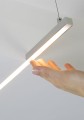 pds-t_pion_02.jpg
