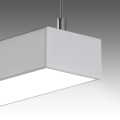 lipod-50-04.jpg