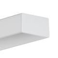 lipod-50-03.jpg